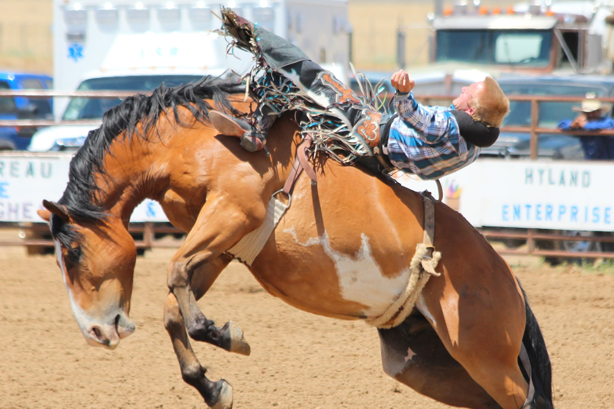 Fair & Rodeos