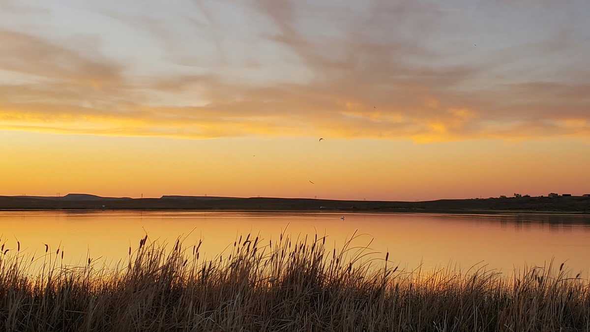 Saratoga Lake